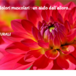 Artrite, Dolori Muscolari : Un Aiuto Dall'alloro