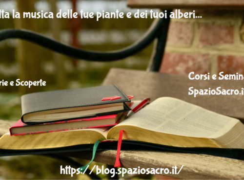 Ascolta La Musica Delle Tue Piante E Dei Tuoi Alberi