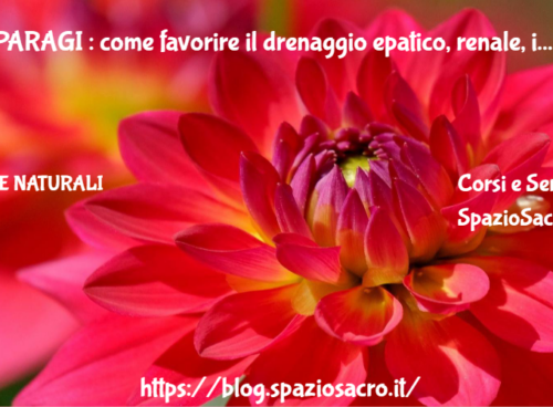 ASPARAGI : come favorire il drenaggio epatico, renale, intestinale, polmonare e cutaneo 45 Asparagi : Come Favorire Il Drenaggio Epatico, Renale, Intestinale, Polmonare E Cutaneo