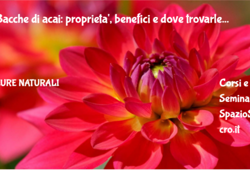 Bacche di acai: proprieta', benefici e dove trovarle 72 Bacche Di Acai: Proprieta', Benefici E Dove Trovarle