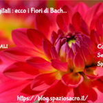 Bambini agitati : ecco i Fiori di Bach 3 Bambini Agitati : Ecco I Fiori Di Bach