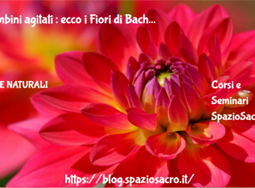 Bambini Agitati : Ecco I Fiori Di Bach