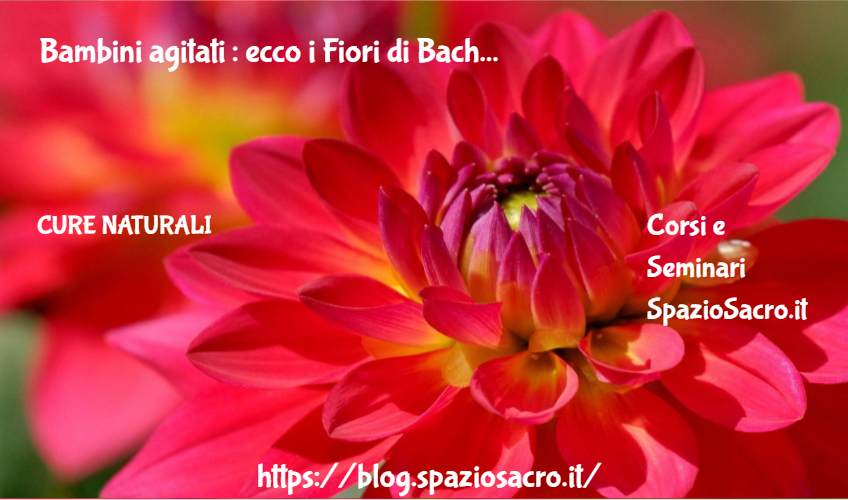Bambini Agitati : Ecco I Fiori Di Bach