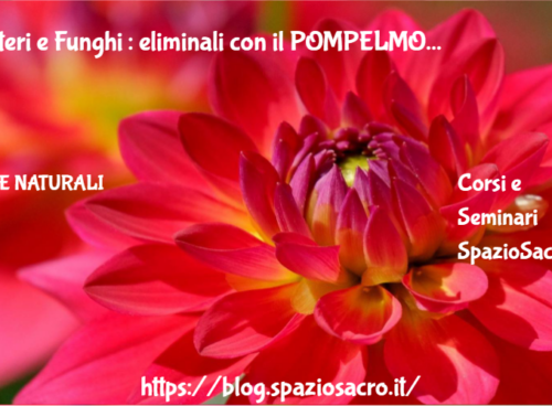 Batteri e Funghi : eliminali con il POMPELMO 81 Batteri E Funghi : Eliminali Con Il Pompelmo