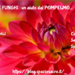 BATTERI E FUNGHI : un aiuto dal POMPELMO 3 Batteri E Funghi : Un Aiuto Dal Pompelmo