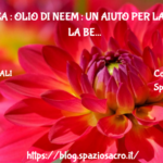Bellezza : olio di neem : un aiuto per la salute e la bellezza 2 Bellezza : Olio Di Neem : Un Aiuto Per La Salute E La Bellezza