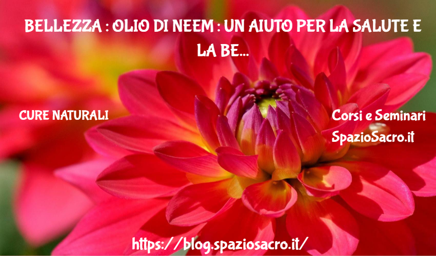 Bellezza : Olio Di Neem : Un Aiuto Per La Salute E La Bellezza