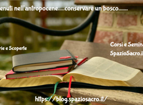 Benvenuti nell'antropocene.....conservare un bosco.... 99 Benvenuti Nell'antropocene.....conservare Un Bosco....