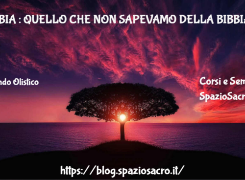 Bibbia : quello che non sapevamo della bibbia 37 Bibbia : Quello Che Non Sapevamo Della Bibbia