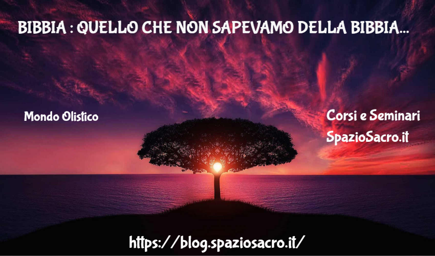 Bibbia : Quello Che Non Sapevamo Della Bibbia