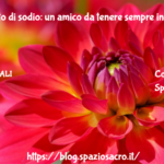 Bicarbonato di sodio: un amico da tenere sempre in casa 3 Bicarbonato Di Sodio: Un Amico Da Tenere Sempre In Casa