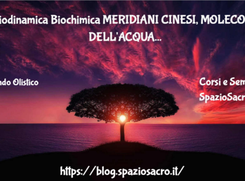 Biodinamica Biochimica Meridiani Cinesi, Molecole Dell'acqua