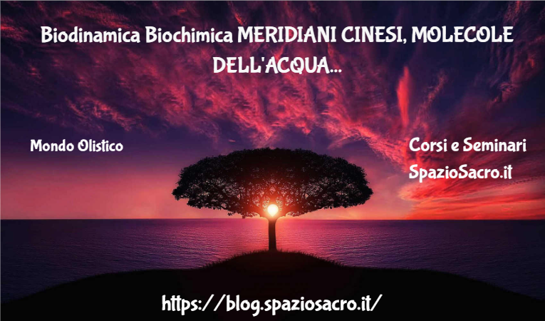 Biodinamica Biochimica MERIDIANI CINESI, MOLECOLE DELL'ACQUA 1 Biodinamica Biochimica Meridiani Cinesi, Molecole Dell'acqua