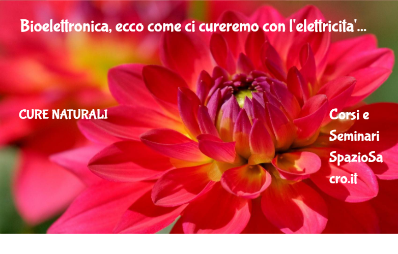 Bioelettronica, ecco come ci cureremo con l'elettricita' 1 Bioelettronica, Ecco Come Ci Cureremo Con L'elettricita'