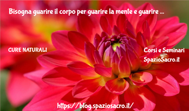 Bisogna Guarire Il Corpo Per Guarire La Mente E Guarire La Mente Per Guarire Il Corpo