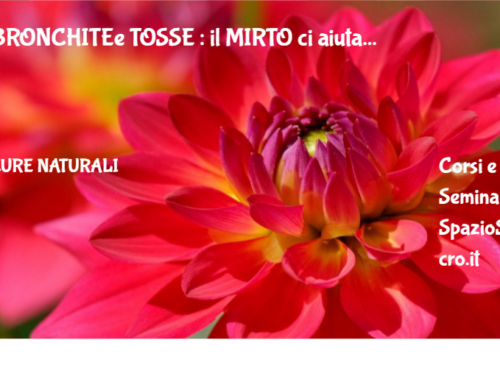 BRONCHITEe TOSSE : il MIRTO ci aiuta 20 Bronchitee Tosse : Il Mirto Ci Aiuta