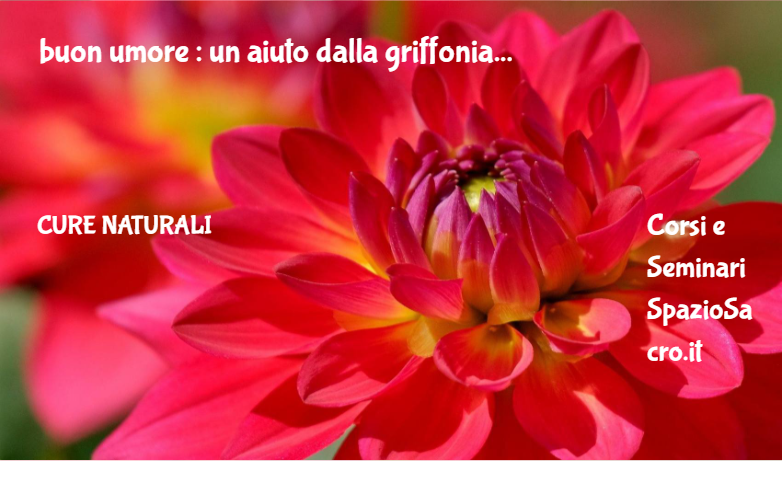 Buon Umore : Un Aiuto Dalla Griffonia