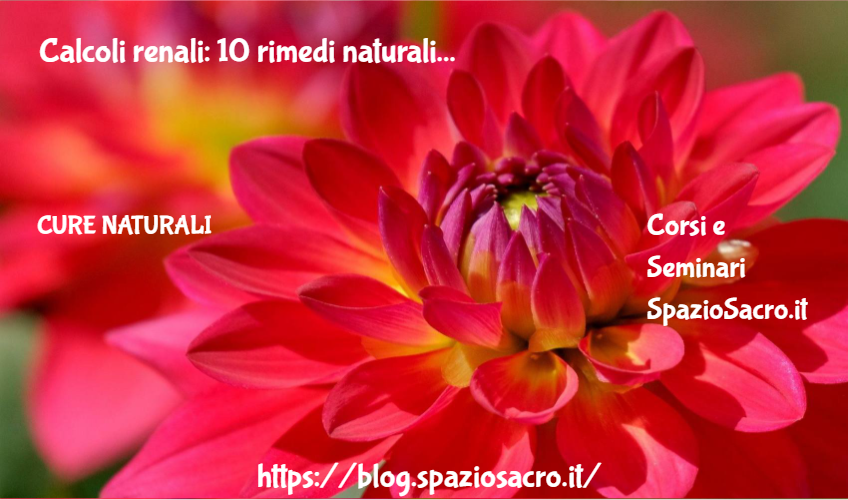 Calcoli renali: 10 rimedi naturali 1 Calcoli Renali: 10 Rimedi Naturali