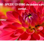 Cancro : Spezie Ed Erbe Che Aiutano A Prevenire O Combattere I Tumori