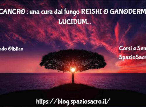 CANCRO : una cura dal fungo REISHI O GANODERMA LUCIDUM 2 Cancro : Una Cura Dal Fungo Reishi O Ganoderma Lucidum