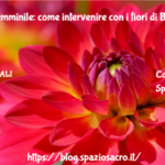 Candida femminile: come intervenire con i fiori di Bach 3 Candida Femminile: Come Intervenire Con I Fiori Di Bach
