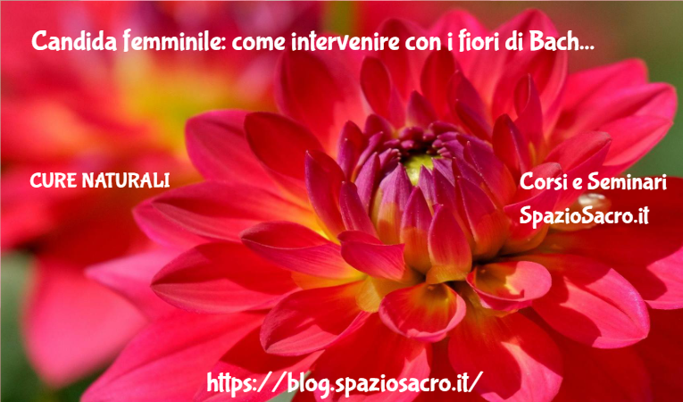 Candida femminile: come intervenire con i fiori di Bach 1 Candida Femminile: Come Intervenire Con I Fiori Di Bach
