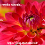 Candida : Rimedio Naturale