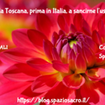 Cannabis: La Toscana, Prima In Italia, A Sancirne L'uso Terapeutico!