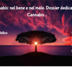 Cannabis: nel bene e nel male. Dossier dedicato alla Cannabis 3 Cannabis: Nel Bene E Nel Male. Dossier Dedicato Alla Cannabis