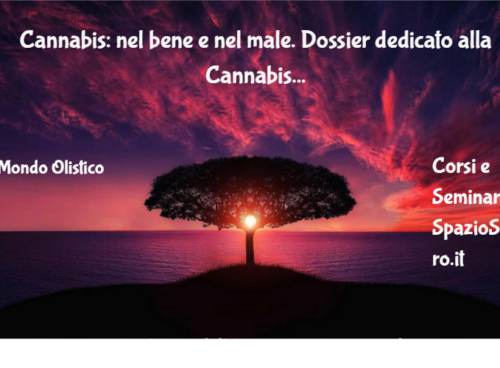 Cannabis: nel bene e nel male. Dossier dedicato alla Cannabis 46 Cannabis: Nel Bene E Nel Male. Dossier Dedicato Alla Cannabis