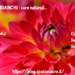Capelli Bianchi : Cure Naturali