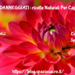 Capelli Danneggiati : Ricette Naturali Per Capelli Danneggiati