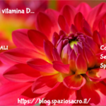 Carenza Di Vitamina D