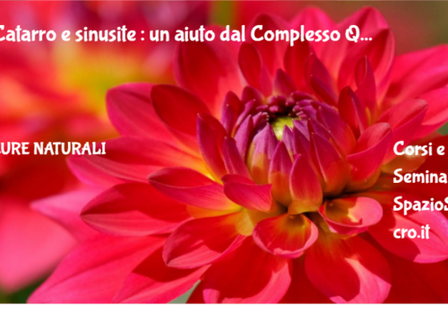 Catarro e sinusite : un aiuto dal Complesso Q 51 Catarro E Sinusite : Un Aiuto Dal Complesso Q