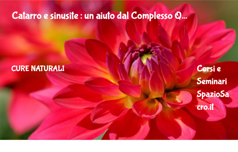 Catarro e sinusite : un aiuto dal Complesso Q 1 Catarro E Sinusite : Un Aiuto Dal Complesso Q