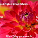 Cellulite: ecco I Migliori Rimedi Naturali 3 Cellulite: Ecco I Migliori Rimedi Naturali