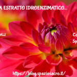 Centella estratto idroenzimatico 2 Centella Estratto Idroenzimatico
