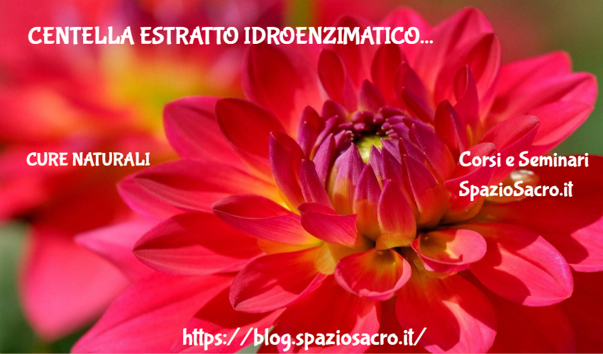 Centella Estratto Idroenzimatico