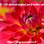 CERVELLO : I 10 alimenti migliori per il nostro cervello 2 Cervello : I 10 Alimenti Migliori Per Il Nostro Cervello