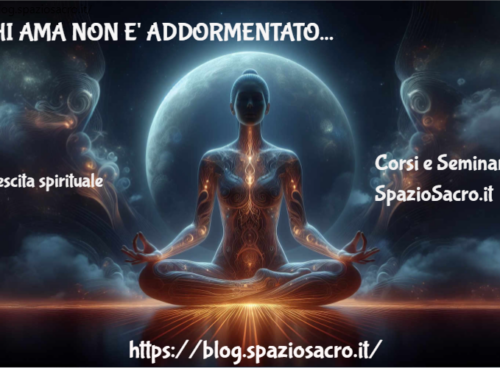 Chi Ama Non E' Addormentato