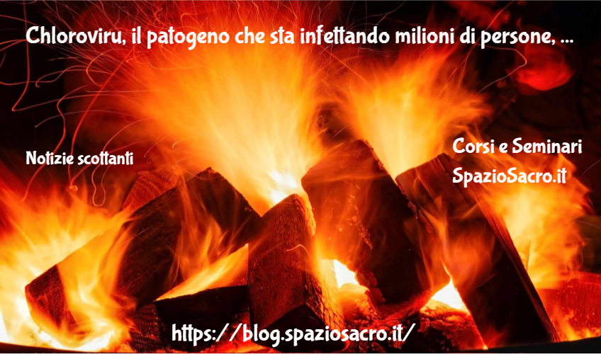Chloroviru, il patogeno che sta infettando milioni di persone, proviene dai biocarburtanti CONTAGIANO LE ALGHE! 1 Chloroviru, Il Patogeno Che Sta Infettando Milioni Di Persone, Proviene Dai Biocarburtanti Contagiano Le Alghe!