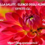 Cibi della salute : elenco degli alimenti con effetti curativi 2 Cibi Della Salute : Elenco Degli Alimenti Con Effetti Curativi