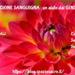 Circolazione Sanguigna : Un Aiuto Dal Ginseng
