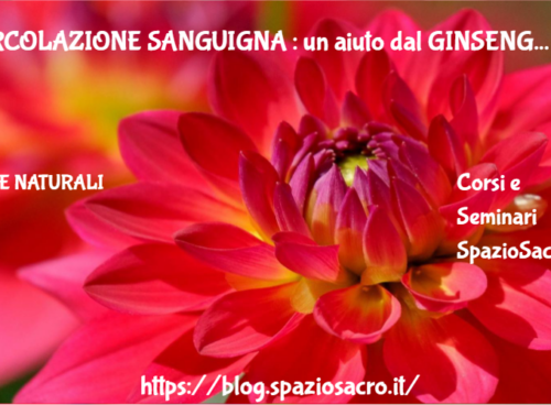 Circolazione Sanguigna : Un Aiuto Dal Ginseng