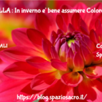 Clorofilla : In Inverno E' Bene Assumere Colorofilla
