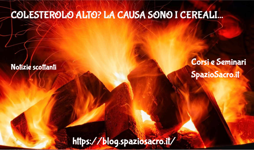 Colesterolo Alto? La Causa Sono I Cereali