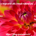 Colesterolo E Trigliceridi Alti: I Rimedi Naturali Piu' Efficaci