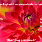 Colesterolo E Trigliceridi : Un Aiuto Naturale Con I Semi Di Chia