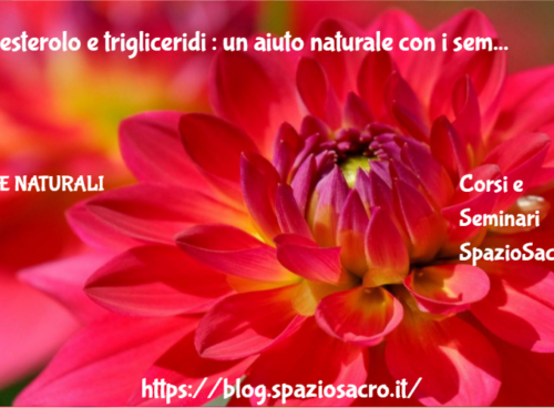 Colesterolo E Trigliceridi : Un Aiuto Naturale Con I Semi Di Chia