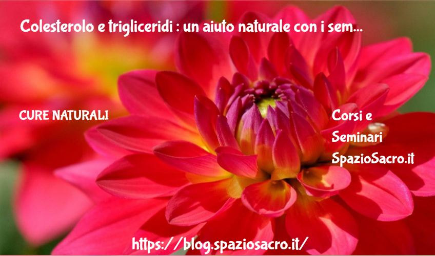 Colesterolo E Trigliceridi : Un Aiuto Naturale Con I Semi Di Chia